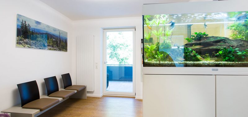 Wartezimmer Zahnarzt Dr. Beer, Deggendorf